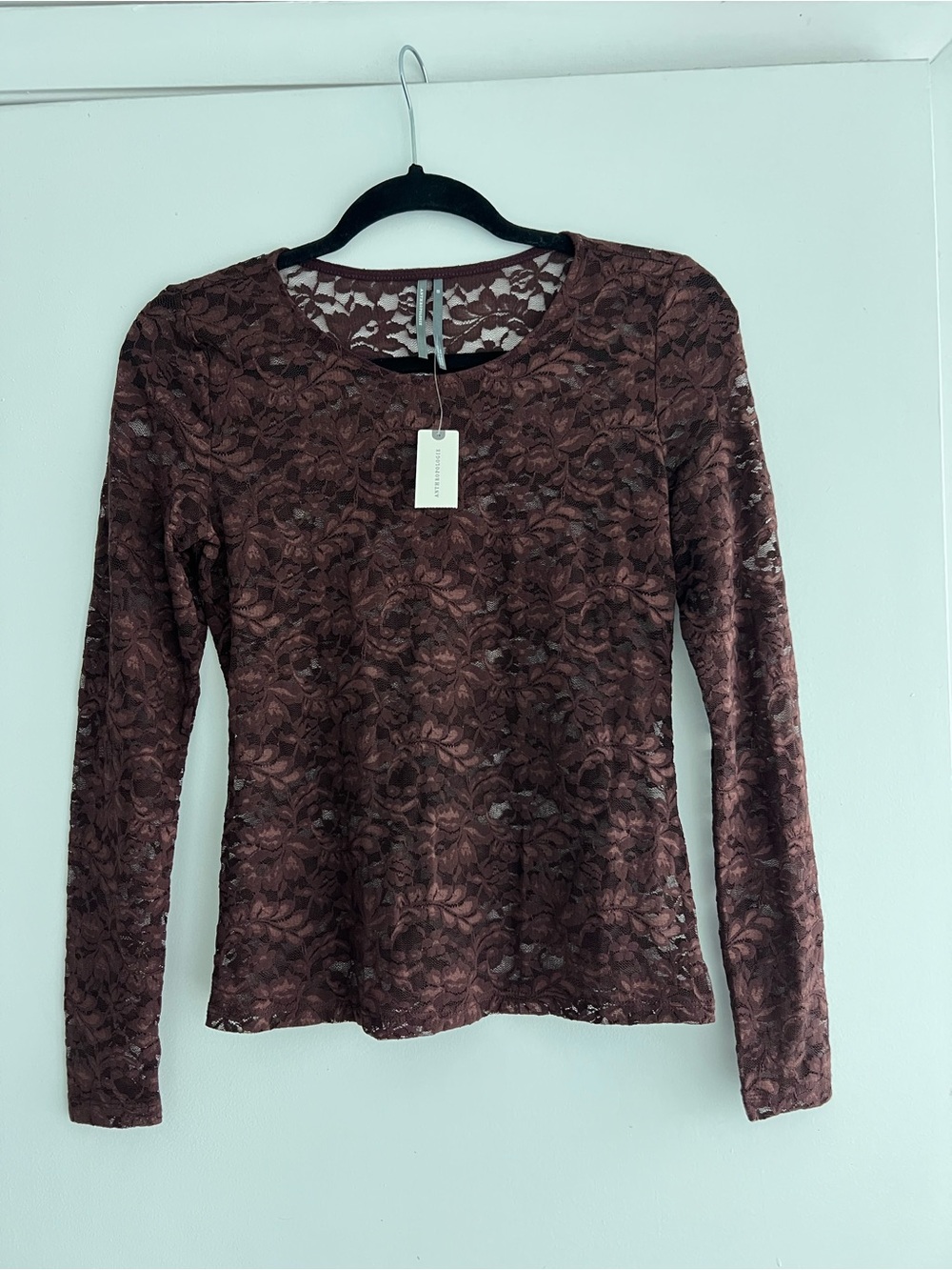 Anthropologie Women's Lace Long-Sleeve Top - Brown - Picture 2 of 6